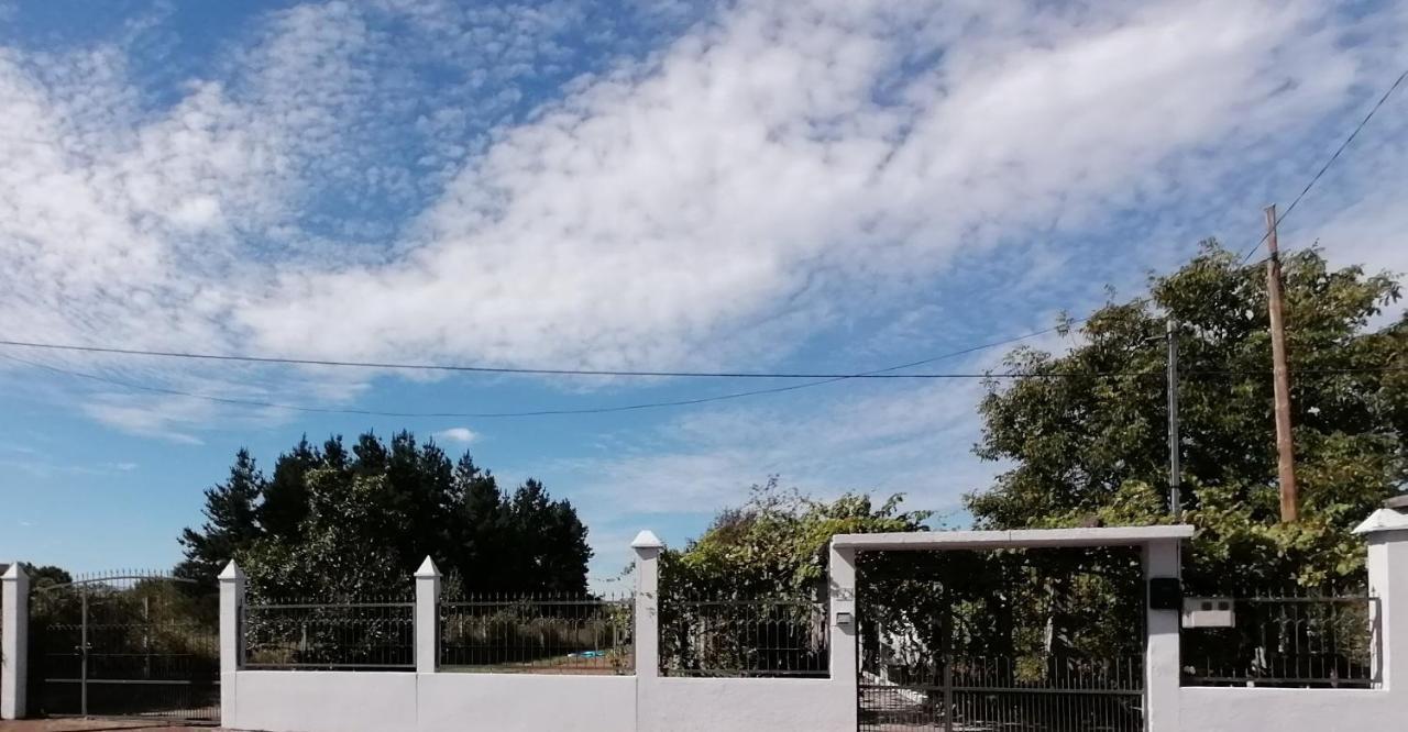Morin Grey Casa En El Corazon De La Ribeira Sacra Villa Monforte De Lemos Eksteriør billede
