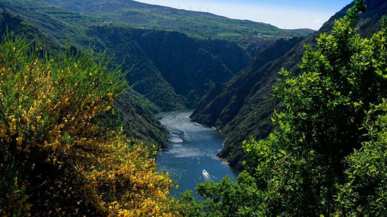 Morin Grey Casa En El Corazon De La Ribeira Sacra Villa Monforte De Lemos Eksteriør billede