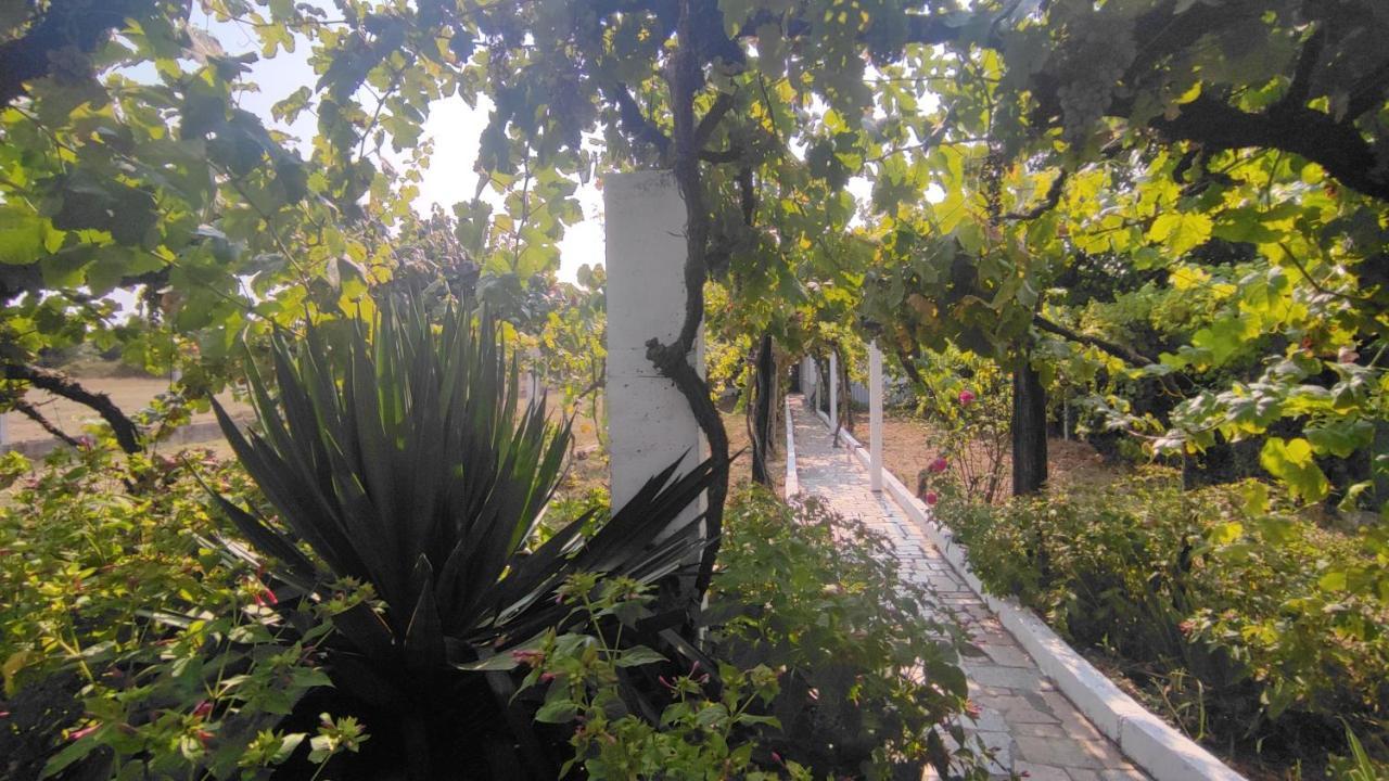 Morin Grey Casa En El Corazon De La Ribeira Sacra Villa Monforte De Lemos Eksteriør billede