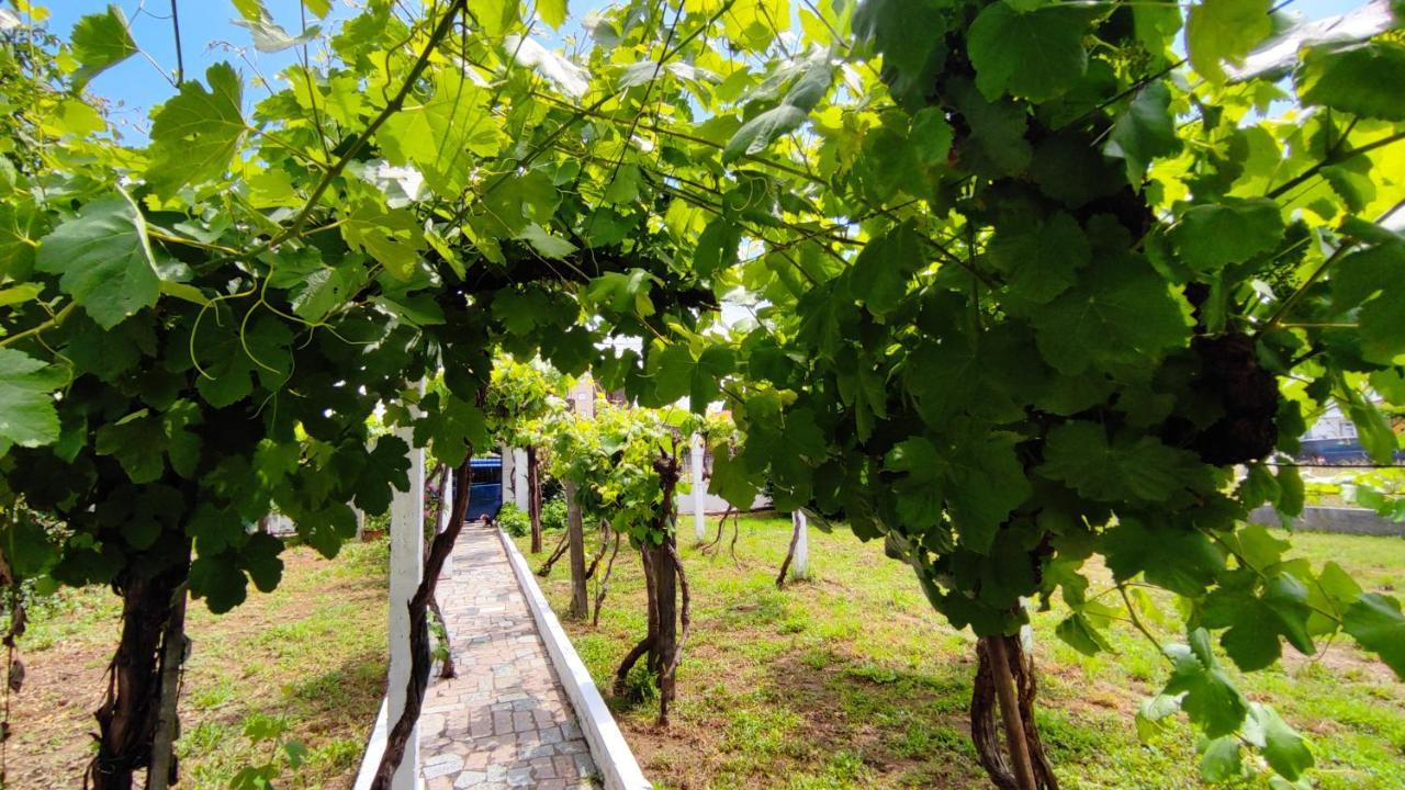 Morin Grey Casa En El Corazon De La Ribeira Sacra Villa Monforte De Lemos Eksteriør billede