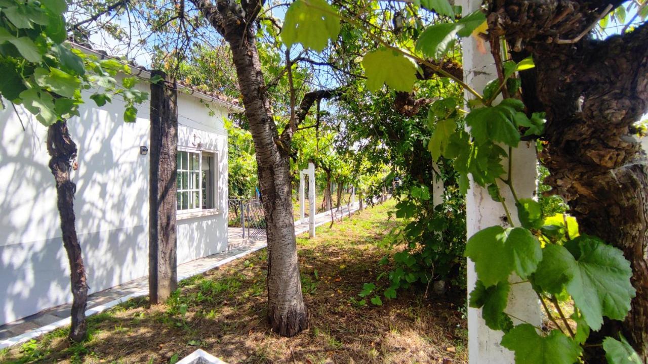 Morin Grey Casa En El Corazon De La Ribeira Sacra Villa Monforte De Lemos Eksteriør billede