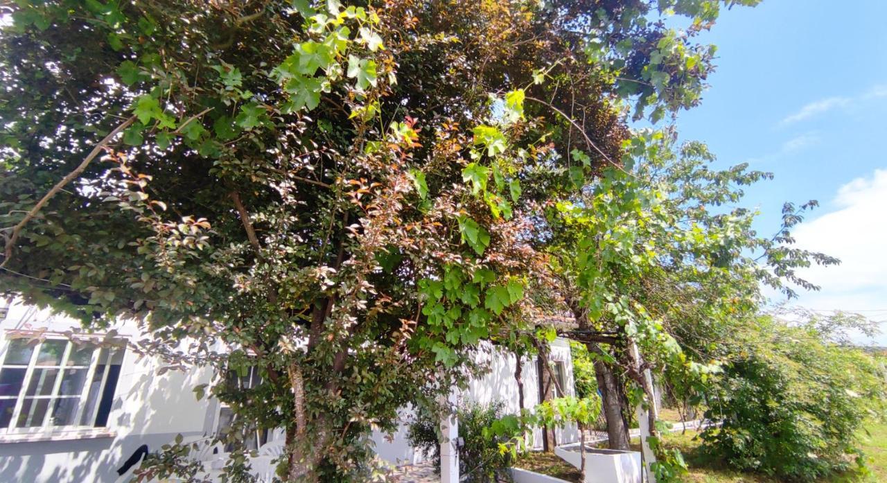 Morin Grey Casa En El Corazon De La Ribeira Sacra Villa Monforte De Lemos Eksteriør billede